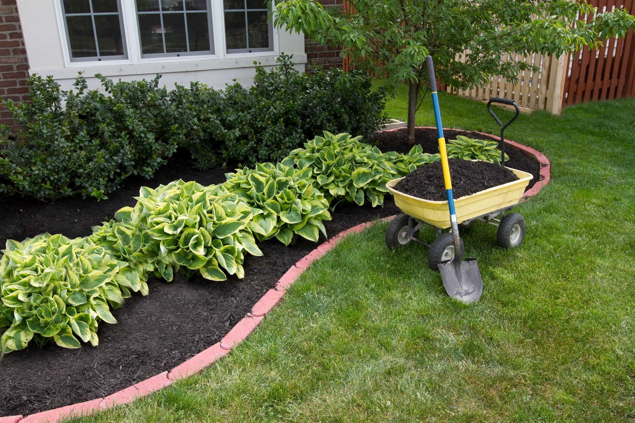 Contextual Planting